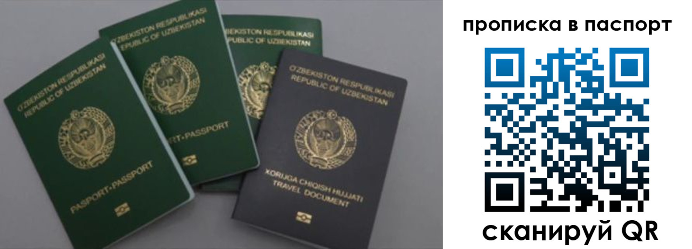 временная прописка в Могочи